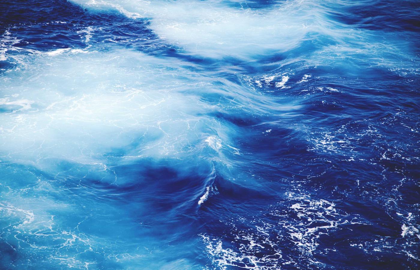 Portrait of Dr. Eleanor Sutton