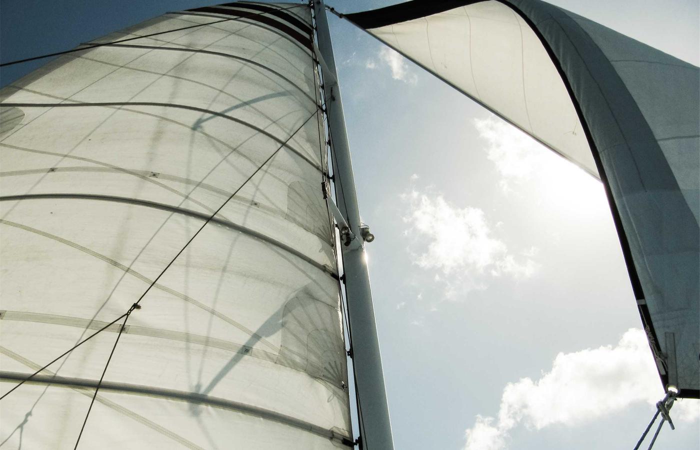 Portrait of Robert Vance